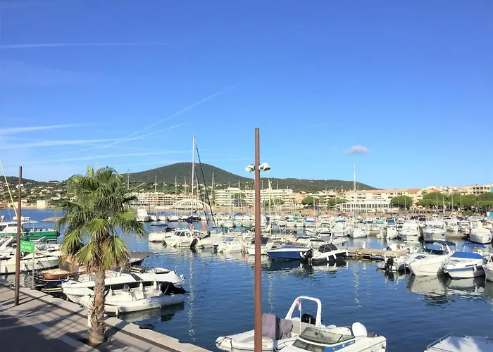 Les Platanes-3 By Interhome * Sainte-Maxime